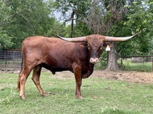 Hancock r3