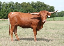 r3 Frosty's Irish Miss